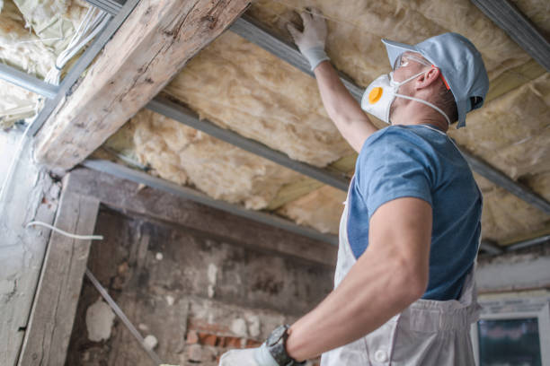 Best Commercial Insulation Services  in Gages Lake, IL