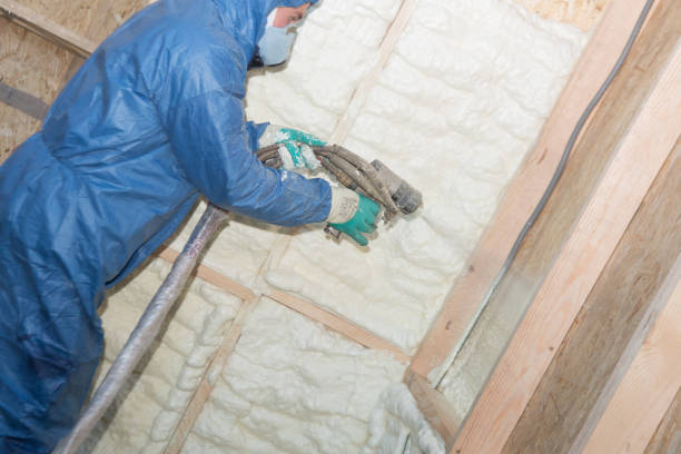 Best Attic Insulation Installation  in Gages Lake, IL