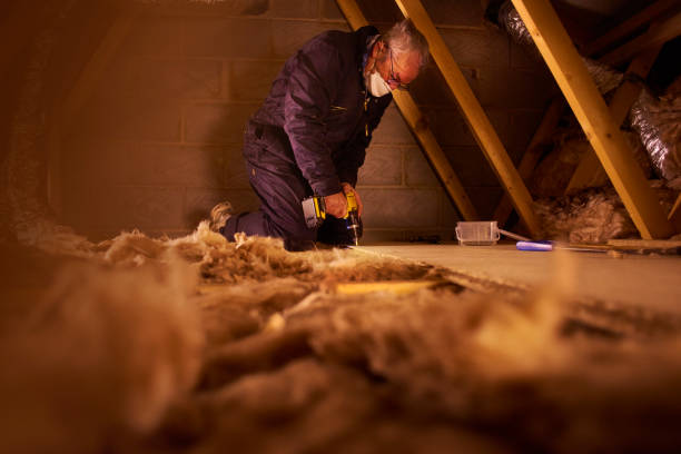 Best Spray Foam Insulation  in Gages Lake, IL